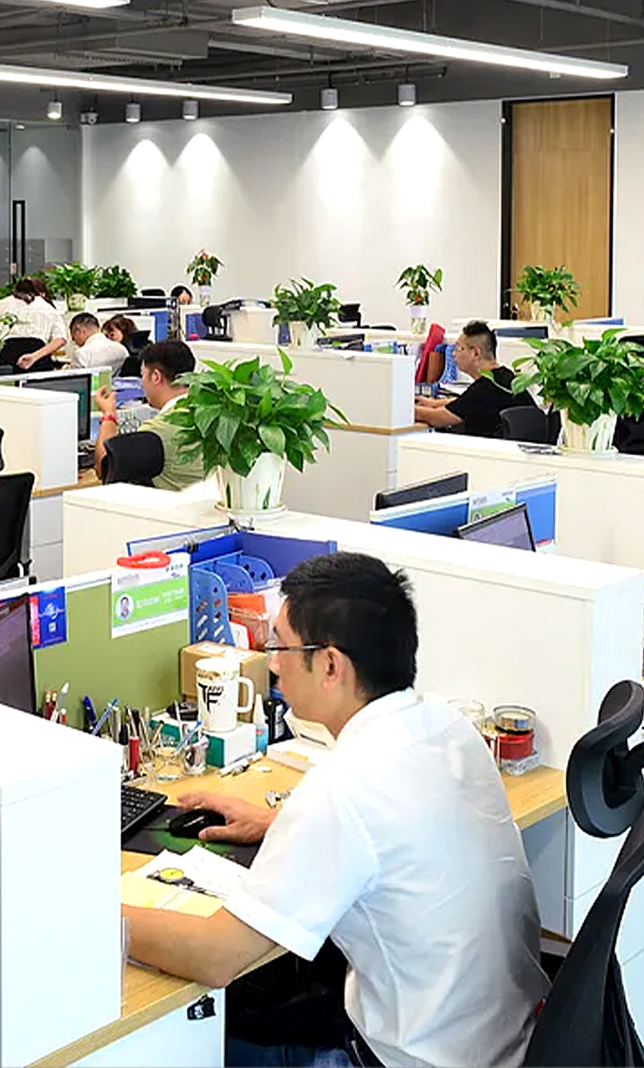 台州市欧佩宠物用品有限公司